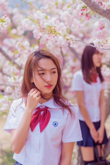 飞机上的性服务2